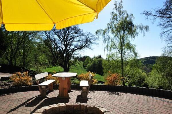 Wohnung In Hohegeiss Mit Grill Und Garten เบราน์ลาเกอ ภายนอก รูปภาพ